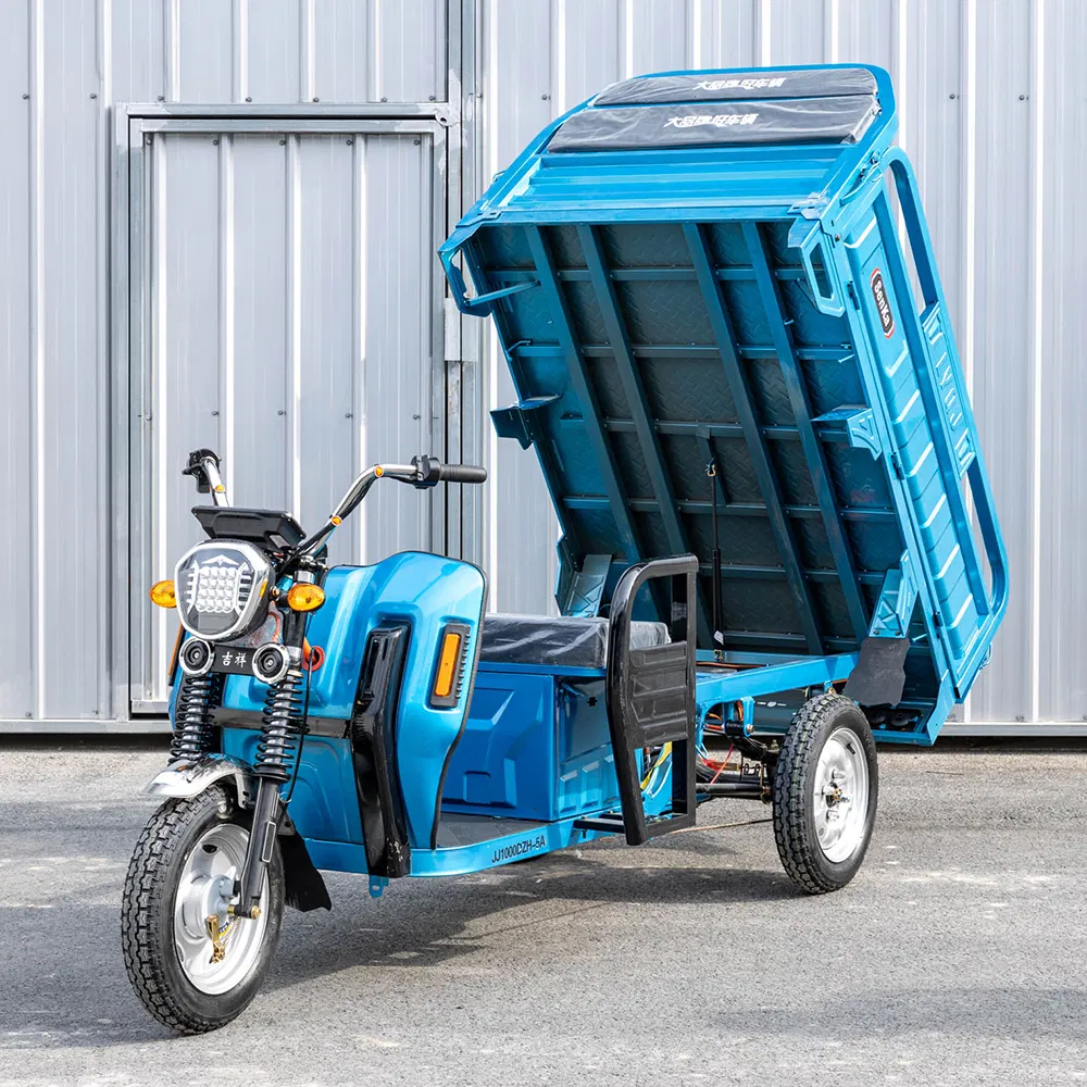 Senka Cheap 3 Wheel Adult Electric Motorcycle Trike Motor Cargo Tricycle for Farmer Use - detail 5