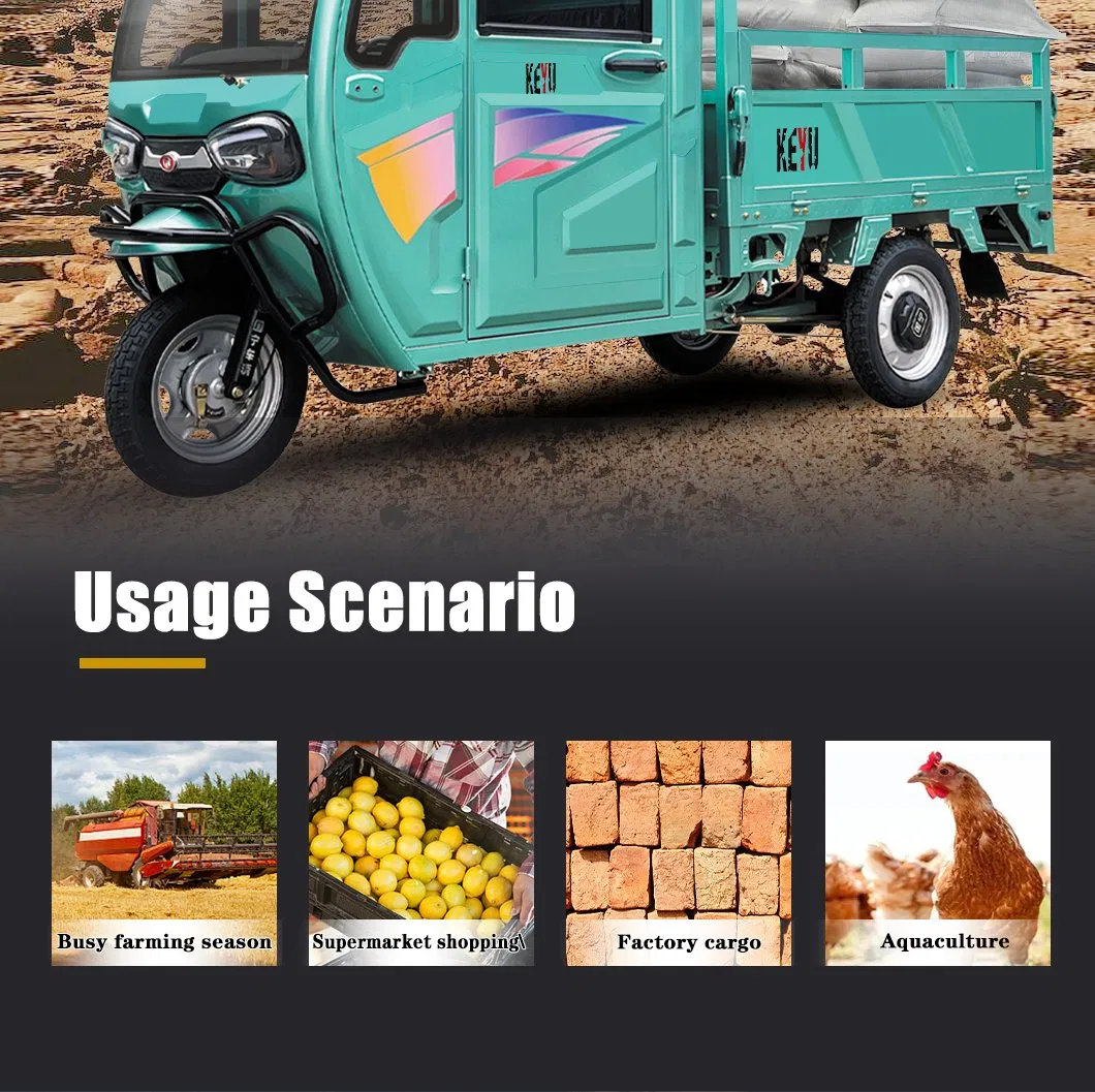 Keyu Special Offers 48V 800W Cargo Electric Tricycle for Rural Transportation - detail 2