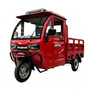 Keyu Trusted Choice 20% Climbing Electric Cargo Tricycle Agriculture for Transportation