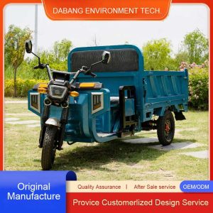 Adult Farm Coc Cargo Chinese Freestyle Electric Loader Tricycles Charge 45 Km/H