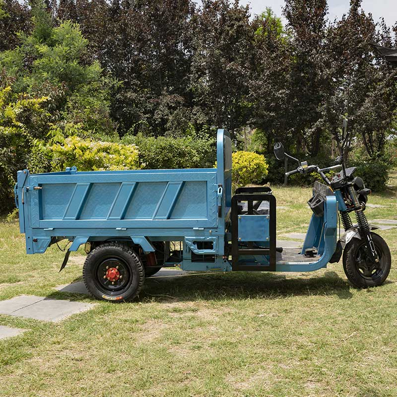 Adult Farm Coc Cargo Chinese Freestyle Electric Loader Tricycles Charge 45 Km/H - Image 3