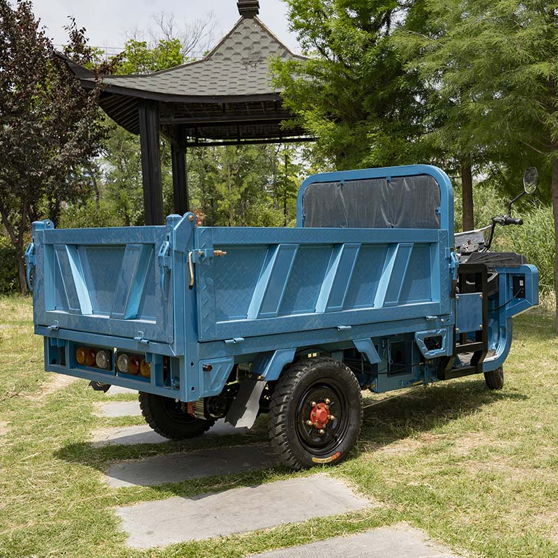 Adult Farm Coc Cargo Chinese Freestyle Electric Loader Tricycles Charge 45 Km/H - Image 4