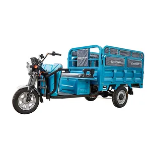 Adult Farm Coc Cargo Chinese Freestyle Electric Loader Tricycles Charge 45 Km/H - detail 18