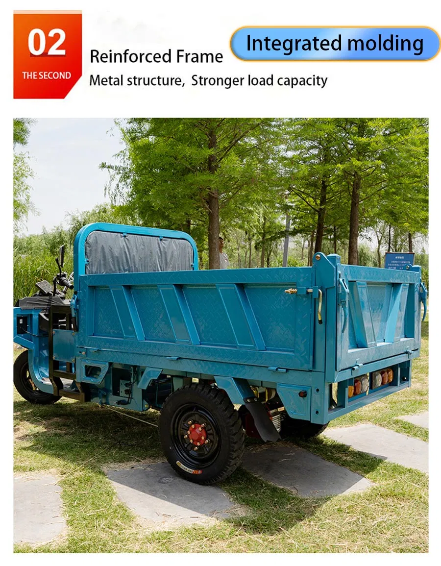 Adult Farm Coc Cargo Chinese Freestyle Electric Loader Tricycles Charge 45 Km/H - detail 4