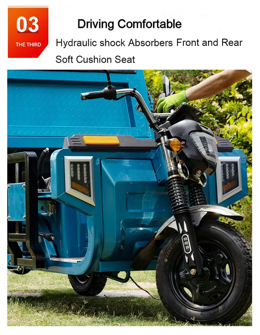 Adult Farm Coc Cargo Chinese Freestyle Electric Loader Tricycles Charge 45 Km/H - detail 5