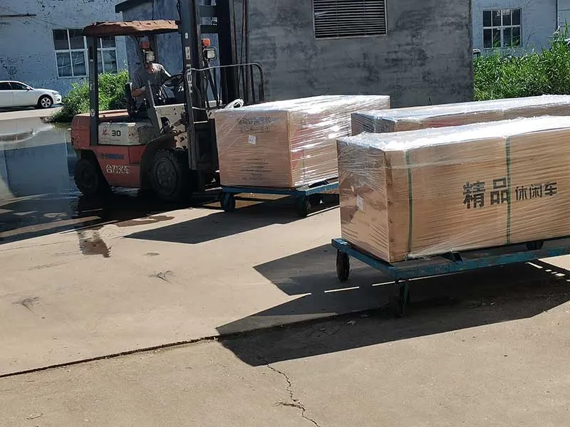 Adult Farm Coc Cargo Chinese Freestyle Electric Loader Tricycles Charge 45 Km/H - detail 9