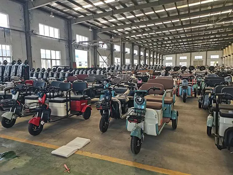 Adult Farm Coc Cargo Chinese Freestyle Electric Loader Tricycles Charge 45 Km/H - detail 10
