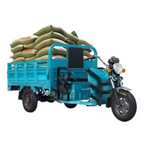 Factory Outlet Dual Use of Passenger and Freight Cabin Cargo Tricycle Cheap Electric Tricycle Bike