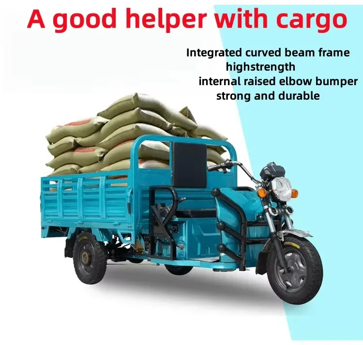 Factory Outlet Dual Use of Passenger and Freight Cabin Cargo Tricycle Cheap Electric Tricycle Bike - detail 4