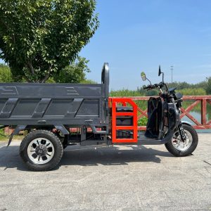 Senka 2024 New Exclusive Patent Shock-Absorbent Seat 1500W Motor Chad Multiple Color Electric Cargo Tricycle