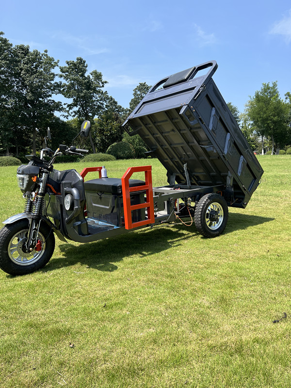 Senka 2024 New Exclusive Patent Shock-Absorbent Seat 1500W Motor Chad Multiple Color Electric Cargo Tricycle - Image 3