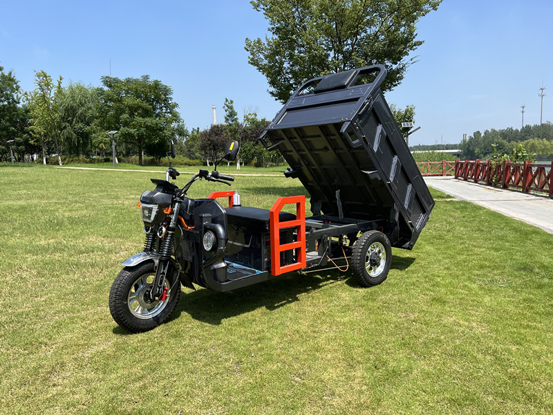 Senka 2024 New Exclusive Patent Shock-Absorbent Seat 1500W Motor Chad Multiple Color Electric Cargo Tricycle - Image 4
