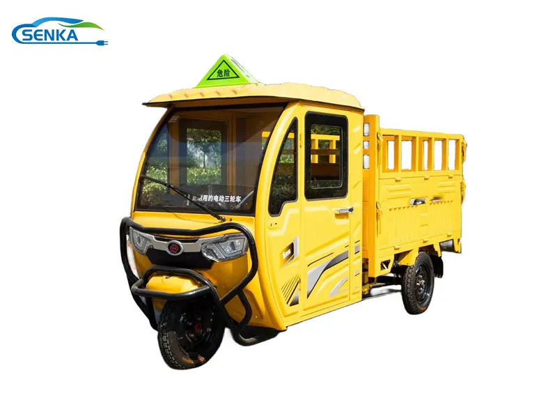 Manufacturer Directly Sale Electric Tricycle Cargo Trike with Big Power - detail 1