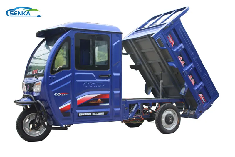 Manufacturer Directly Sale Electric Tricycle Cargo Trike with Big Power - detail 3