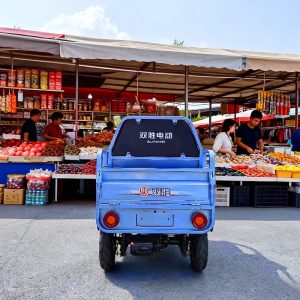 Factory Bulk Sale 60V 800-1000W Strengthened Mobility Electric Triciclo Electrico Three Wheels Trikes Electric Cargo Tricycle