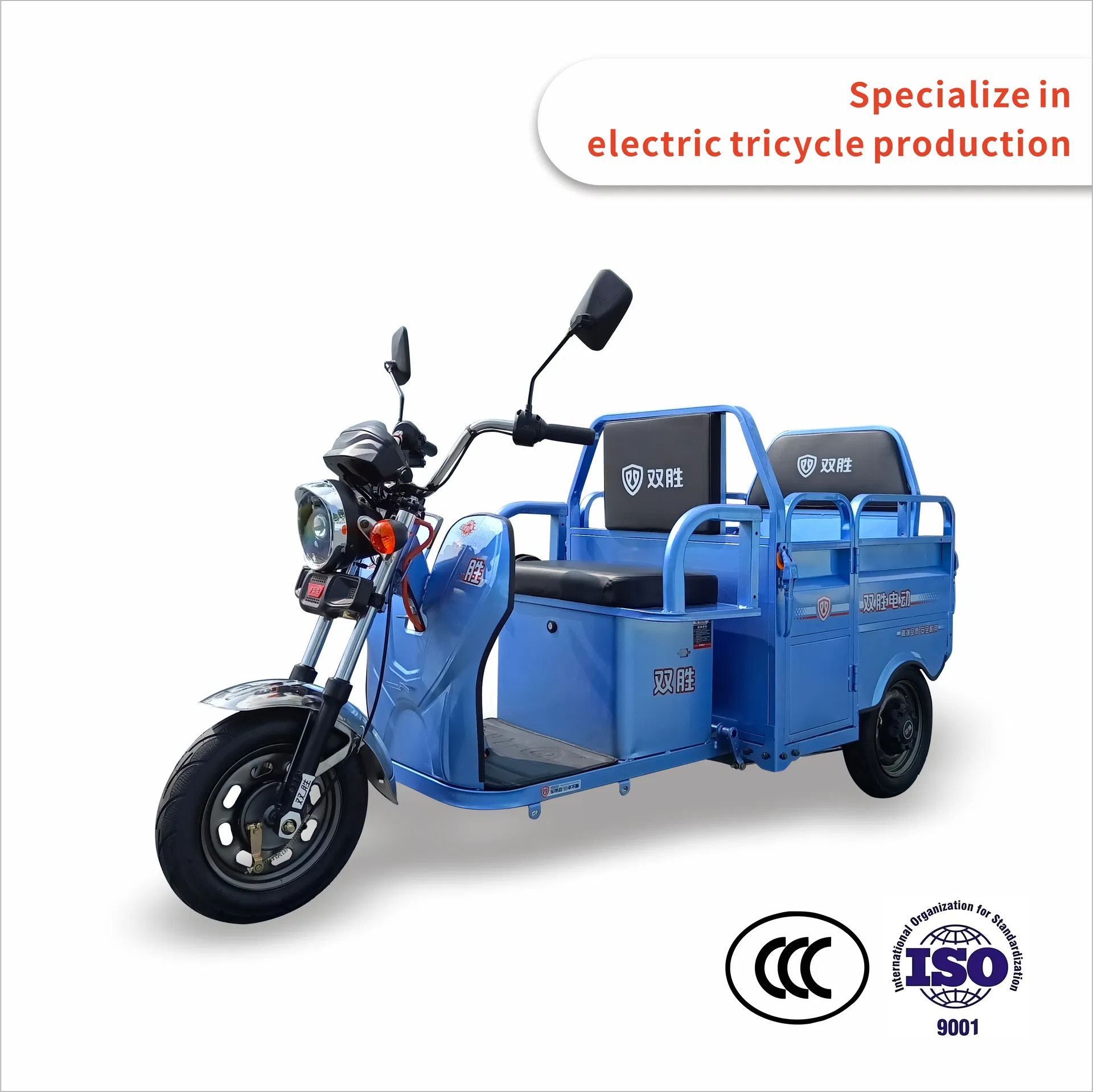 Factory Bulk Sale 60V 800-1000W Strengthened Mobility Electric Triciclo Electrico Three Wheels Trikes Electric Cargo Tricycle - detail 2