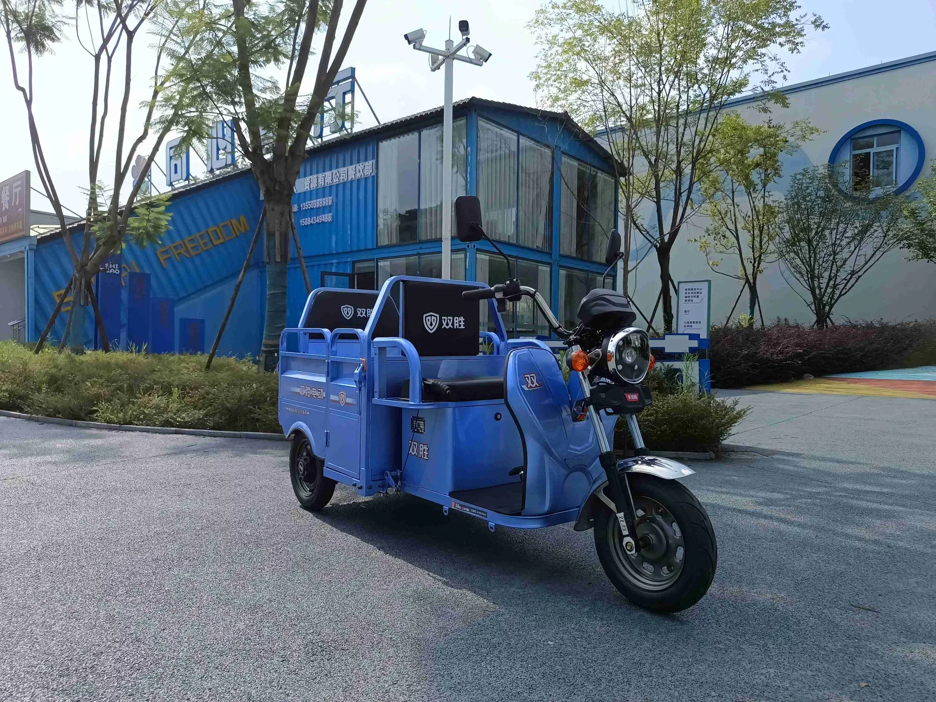 Factory Bulk Sale 60V 800-1000W Strengthened Mobility Electric Triciclo Electrico Three Wheels Trikes Electric Cargo Tricycle - detail 4