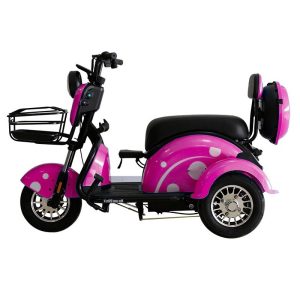 Fast Shipping Manufacture Adult 3 Wheel Passenger Cargo Electric Scooter Tricycle Electric for Leisure