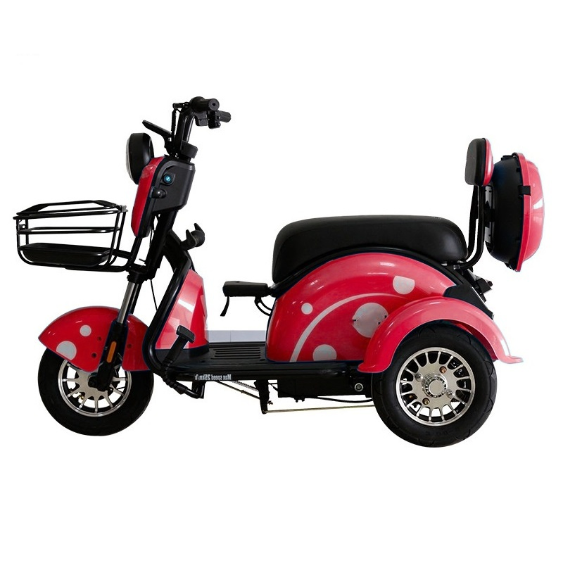 Fast Shipping Manufacture Adult 3 Wheel Passenger Cargo Electric Scooter Tricycle Electric for Leisure - Image 3