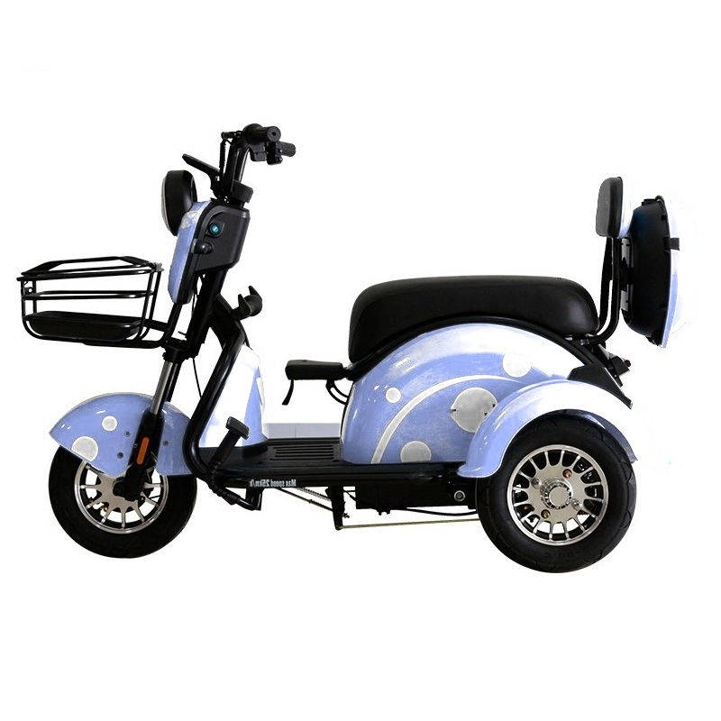 Fast Shipping Manufacture Adult 3 Wheel Passenger Cargo Electric Scooter Tricycle Electric for Leisure - Image 4