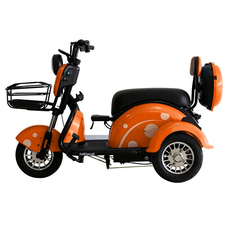 Fast Shipping Manufacture Adult 3 Wheel Passenger Cargo Electric Scooter Tricycle Electric for Leisure - Image 6