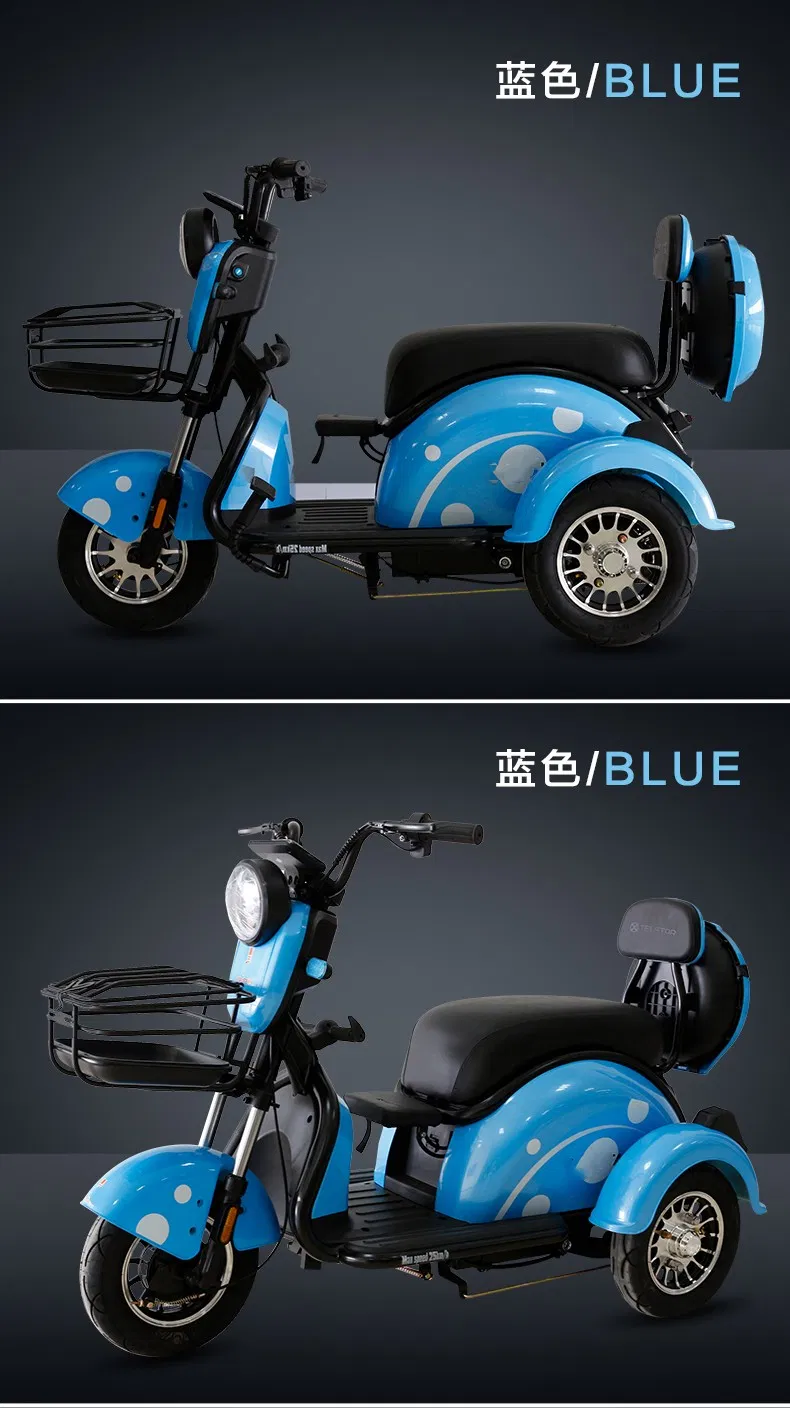 Fast Shipping Manufacture Adult 3 Wheel Passenger Cargo Electric Scooter Tricycle Electric for Leisure - detail 15