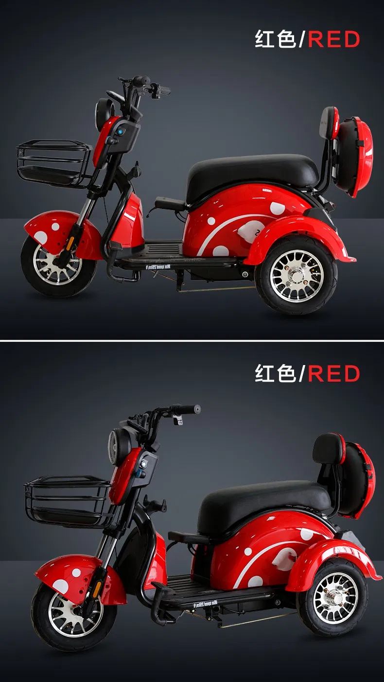 Fast Shipping Manufacture Adult 3 Wheel Passenger Cargo Electric Scooter Tricycle Electric for Leisure - detail 16
