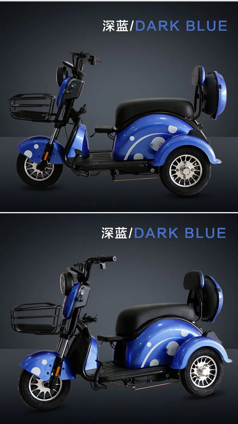 Fast Shipping Manufacture Adult 3 Wheel Passenger Cargo Electric Scooter Tricycle Electric for Leisure - detail 17