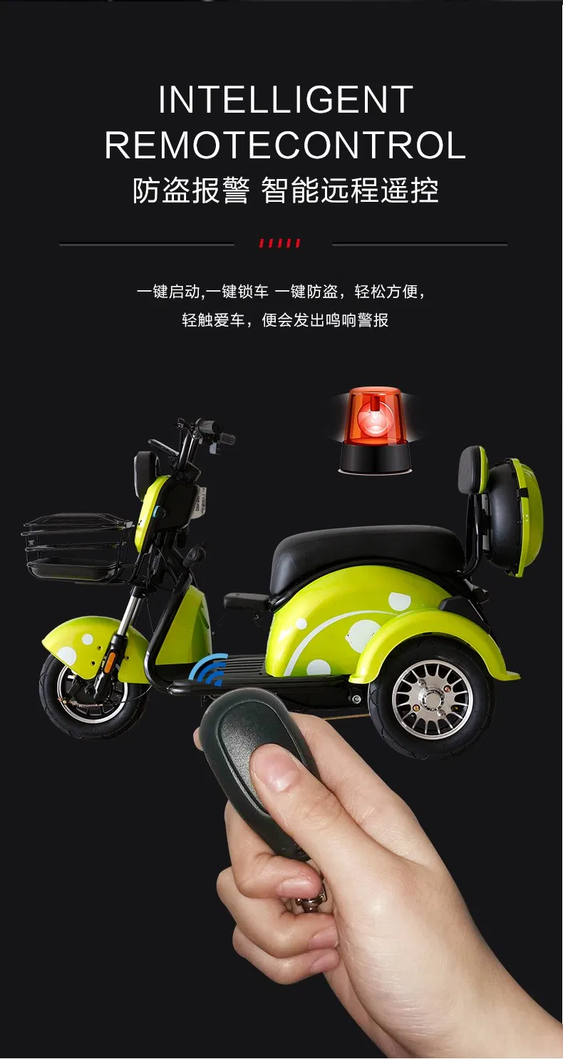 Fast Shipping Manufacture Adult 3 Wheel Passenger Cargo Electric Scooter Tricycle Electric for Leisure - detail 9