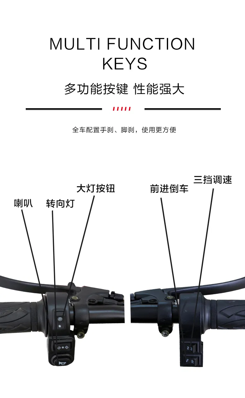 Fast Shipping Manufacture Adult 3 Wheel Passenger Cargo Electric Scooter Tricycle Electric for Leisure - detail 10