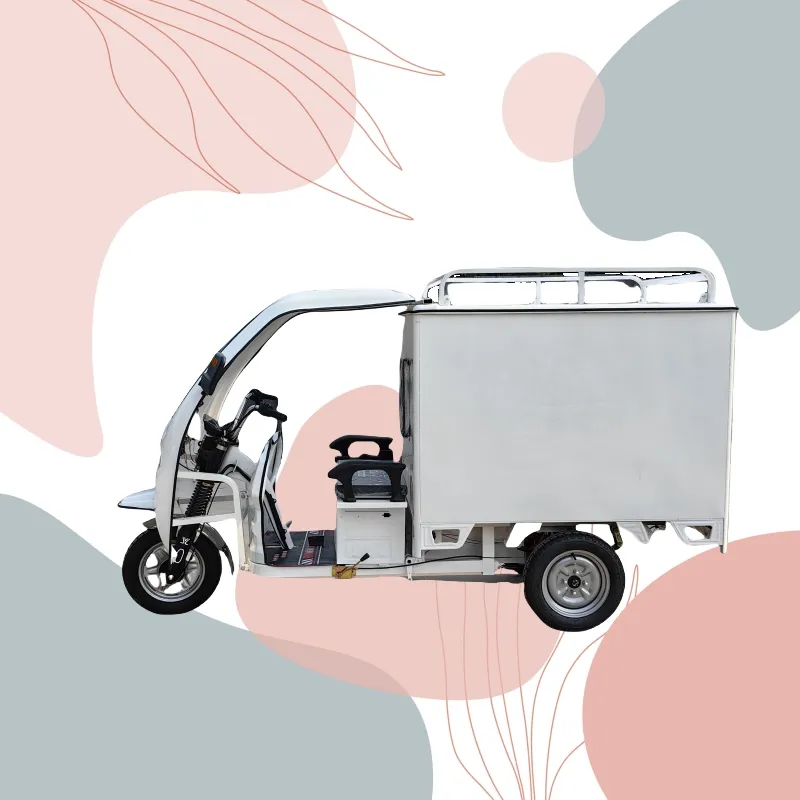 Super Loading Electric Powered Tricycle Cargo Tricycle - detail 2