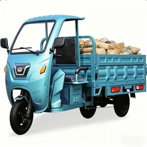 High Power 3 Wheel Electric Cargo Tricycle for Commercial Use - detail 20
