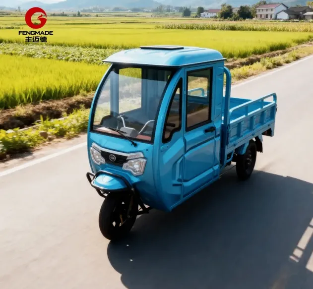 High Power 3 Wheel Electric Cargo Tricycle for Commercial Use - detail 7