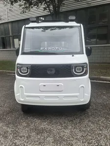 Adult Tricycle Electric Tricycle for Adults, Motorized Tricycle 3 Wheel Motorcycle, Electric Tricycle Car for Cargo Transportation - detail 19
