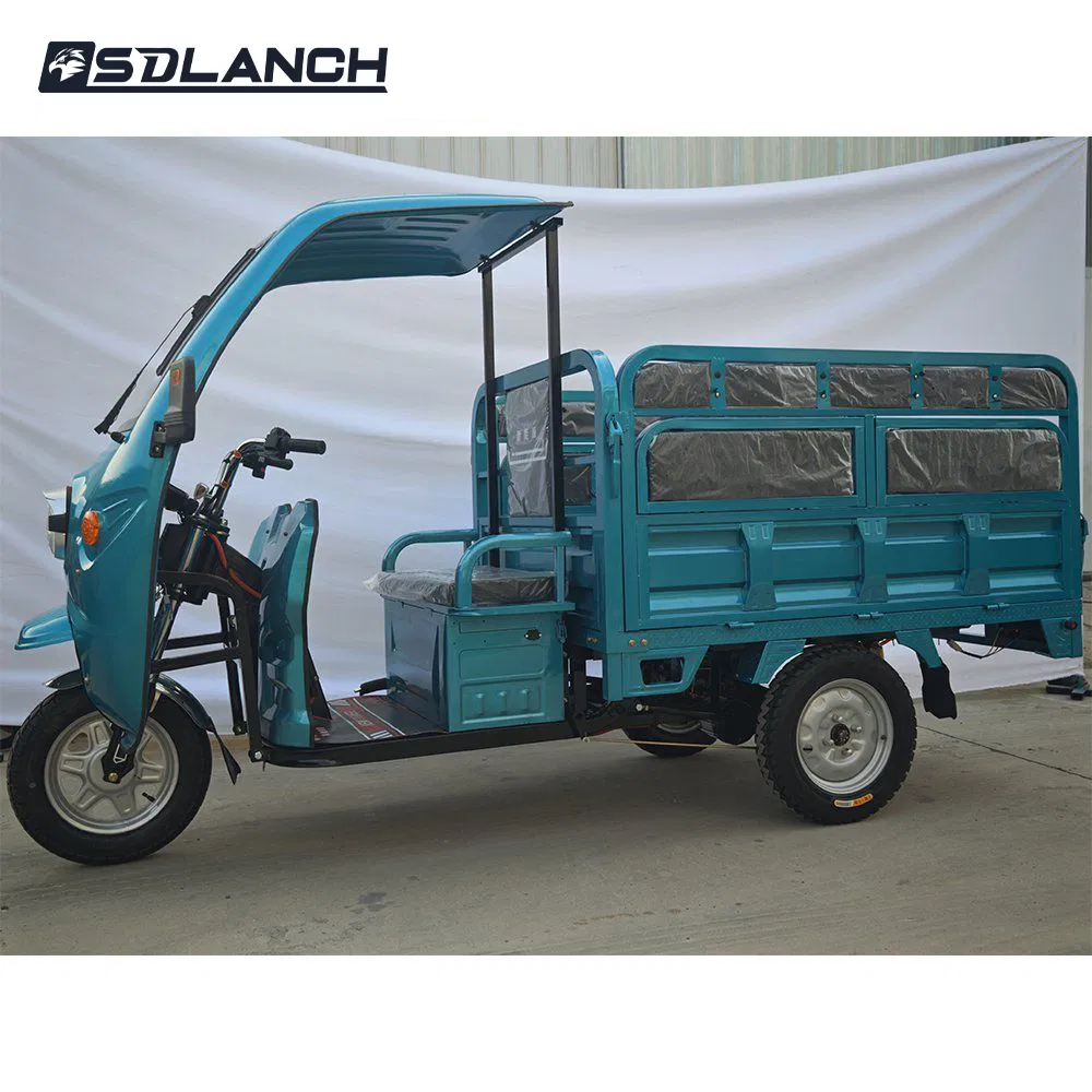 Long Range Lithium Battery Three Wheel Passenger Electric Scooter Cargo Handicapped Motorcycle Adult Electric Tricycle - Image 3