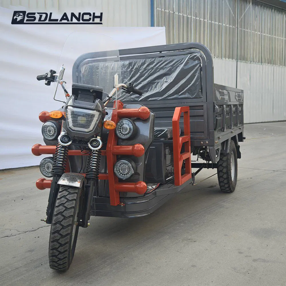 Long Range Lithium Battery Three Wheel Passenger Electric Scooter Cargo Handicapped Motorcycle Adult Electric Tricycle - Image 4