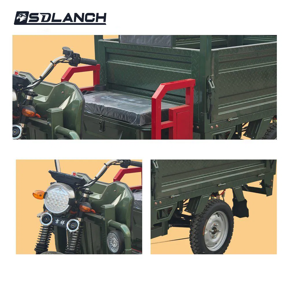 Long Range Lithium Battery Three Wheel Passenger Electric Scooter Cargo Handicapped Motorcycle Adult Electric Tricycle - Image 5