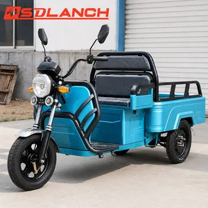 Long Range Lithium Battery Three Wheel Passenger Electric Scooter Cargo Handicapped Motorcycle Adult Electric Tricycle - detail 19