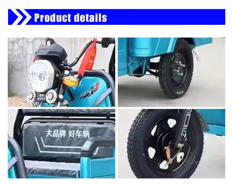 Long Range Lithium Battery Three Wheel Passenger Electric Scooter Cargo Handicapped Motorcycle Adult Electric Tricycle - detail 6