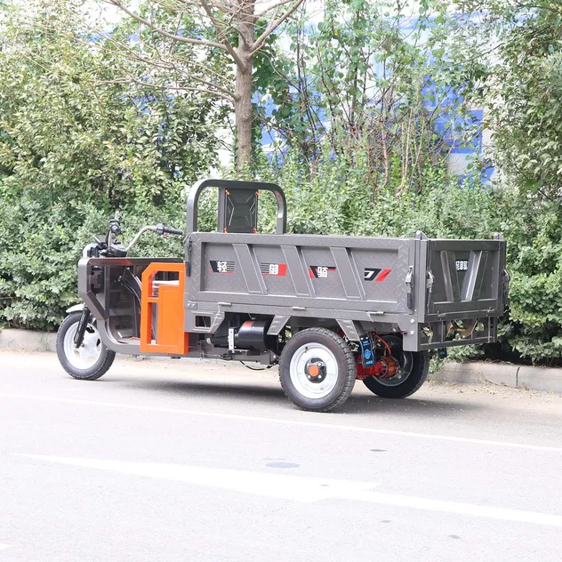 E-Ride Electric Cargo Tricycle 800W 500kg 1.5m Cargo Box for Urban Delivery - detail 4