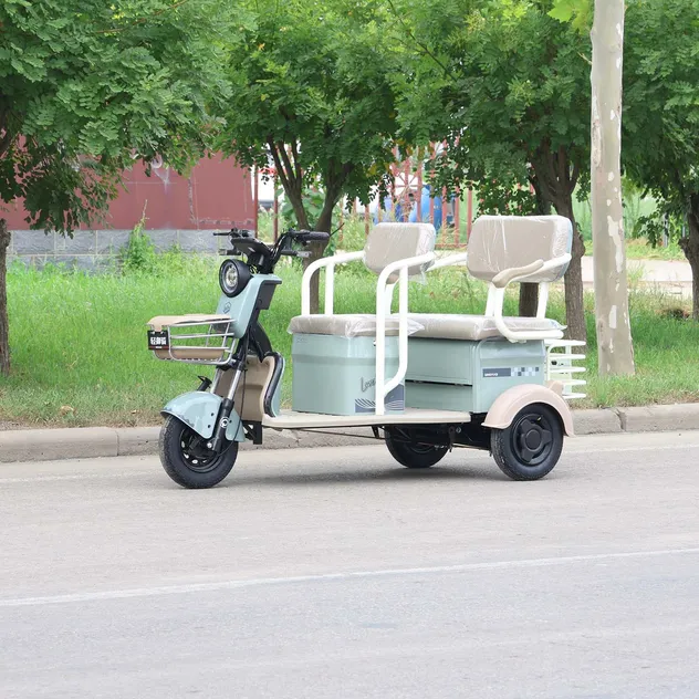 Community Patrol / Street Vending Electric Tricycle, Cargo Racks, 600W Power - detail 2