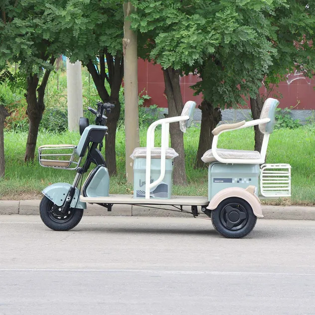 Community Patrol / Street Vending Electric Tricycle, Cargo Racks, 600W Power - detail 3