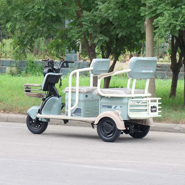 Community Patrol / Street Vending Electric Tricycle, Cargo Racks, 600W Power - detail 4