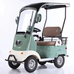 1000W Electric 4-Wheel Cargo Cart E-Tricycle with Roof