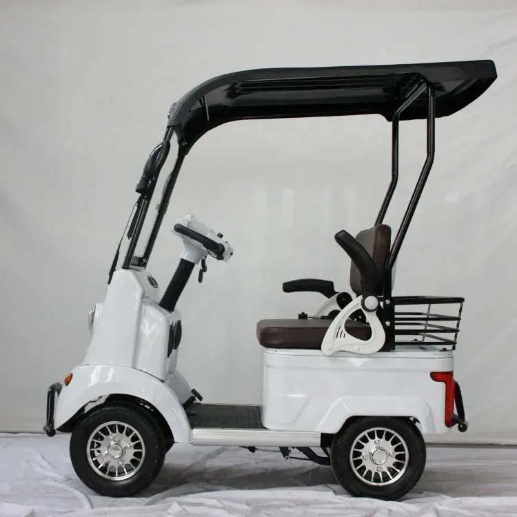 1000W Electric 4-Wheel Cargo Cart E-Tricycle with Roof - detail 1