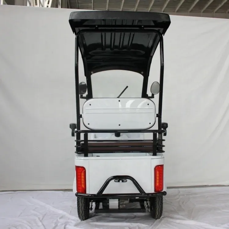 1000W Electric 4-Wheel Cargo Cart E-Tricycle with Roof - detail 2