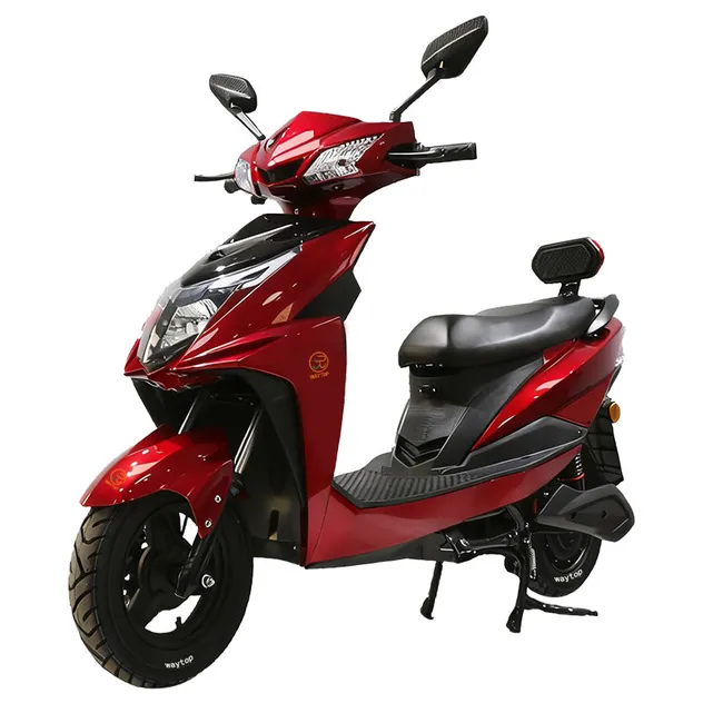 1000W Electric 4-Wheel Cargo Cart E-Tricycle with Roof - detail 11
