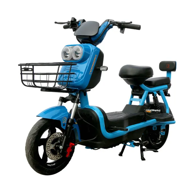1000W Electric 4-Wheel Cargo Cart E-Tricycle with Roof - detail 12