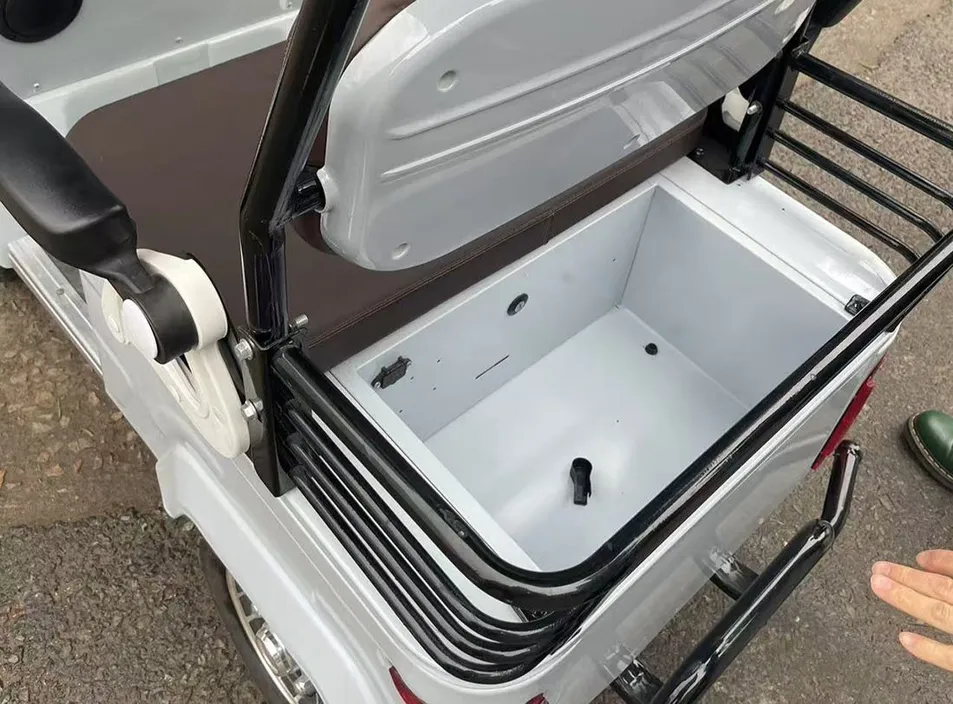 1000W Electric 4-Wheel Cargo Cart E-Tricycle with Roof - detail 5
