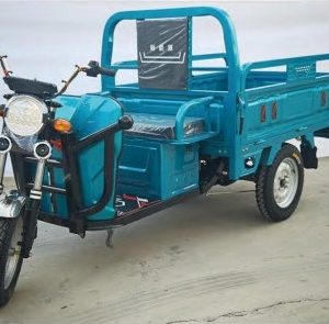 Wholesale Electric Cargo Tricycle Long Distance Farm Use Heavy Loading